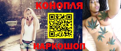 сатива Камышлов