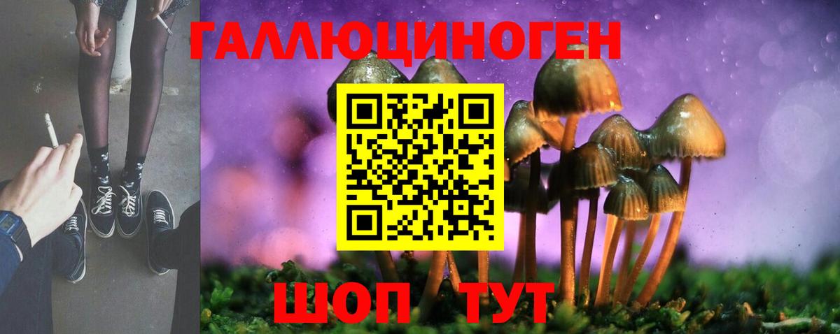 Псилоцибиновые грибы мицелий  Псилоцибиновые грибы мицелий  Кубинка  Вход с VPN 